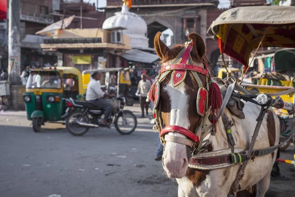 Indian city street at Jodhur, India. — Stock Photo, Image