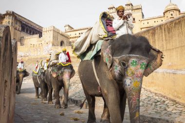 Jaipur, Hindistan - 28 Ocak 2017: Kimliği belirsiz erkek binmek süslemeleri