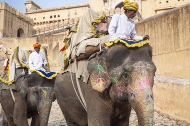 Jaipur, Hindistan - 28 Ocak 2017: Kimliği belirsiz erkek binmek süslemeleri