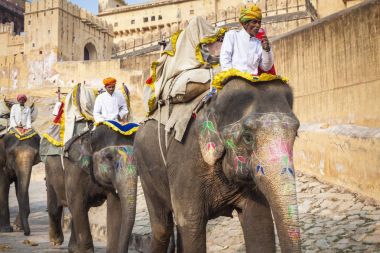 Jaipur, Hindistan - 28 Ocak 2017: Kimliği belirsiz erkek binmek süslemeleri