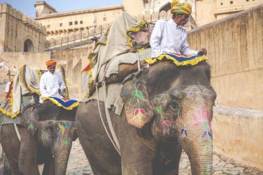 Jaipur, Hindistan - 28 Ocak 2017: Kimliği belirsiz erkek binmek süslemeleri