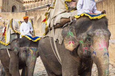 Jaipur, Hindistan - 28 Ocak 2017: Kimliği belirsiz erkek binmek süslemeleri