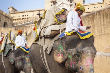 Jaipur, Hindistan - 28 Ocak 2017: Kimliği belirsiz erkek binmek süslemeleri