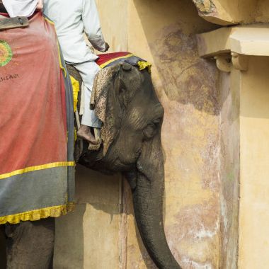 Jaipur, Indi Amber Fort Jaleb Chowk filler dekore edilmiş