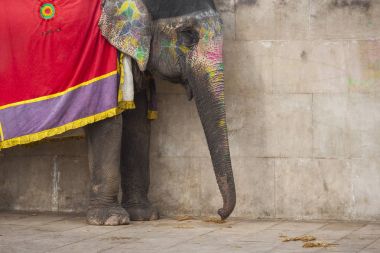 Jaipur, Indi Amber Fort Jaleb Chowk filler dekore edilmiş