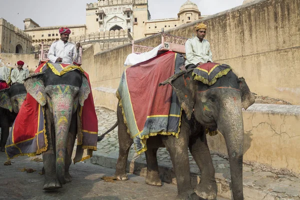Jaipur, Hindistan - 28 Ocak 2017: Kimliği belirsiz erkek binmek süslemeleri