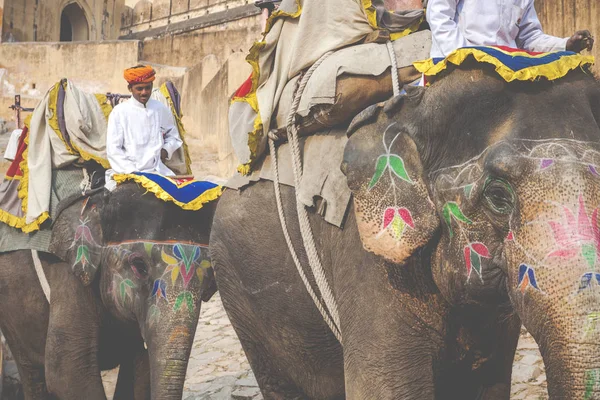 Jaipur, Hindistan - 28 Ocak 2017: Kimliği belirsiz erkek binmek süslemeleri