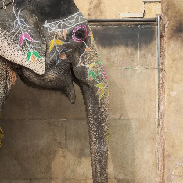 Inredda elefanter i Jaleb Chowk i Amber Fort i Jaipur, Indi — Stockfoto