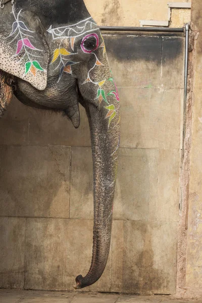 Elefanti decorati a Jaleb Chowk nel Forte di Ambra a Jaipur, Indi — Foto Stock
