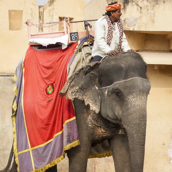 JAIPUR, INDIA - 28 DE ENERO DE 2017: Paseo de hombres no identificados decorar —  Fotos de Stock