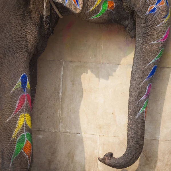 Elefanti decorati a Jaleb Chowk nel Forte di Ambra a Jaipur, Indi — Foto Stock