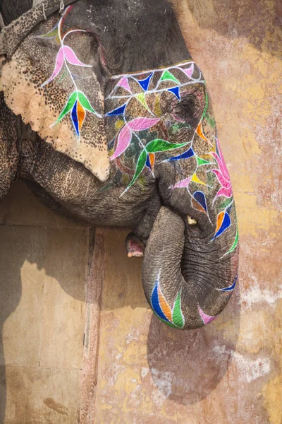 Zdobione słonie w Jaleb Chowk w Amber Fort w Jaipur, Indi — Zdjęcie stockowe