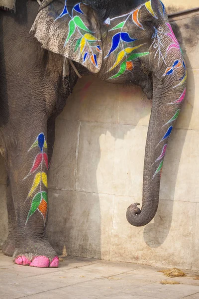 Jaleb チョウク インディ ジャイプールのアンベール城で象の装飾 — ストック写真