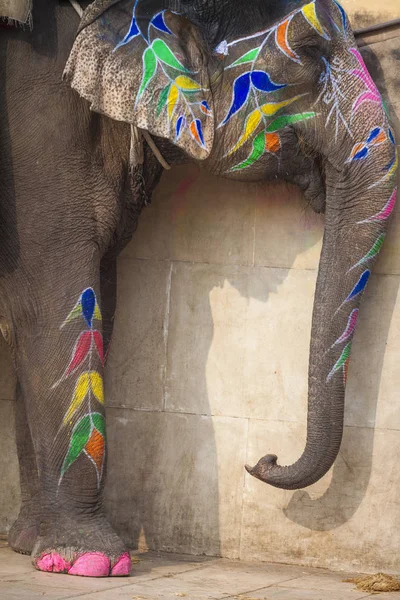 Jaleb チョウク インディ ジャイプールのアンベール城で象の装飾 — ストック写真