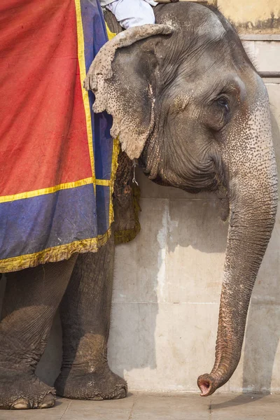 Jaipur, Indi Amber Fort Jaleb Chowk filler dekore edilmiş