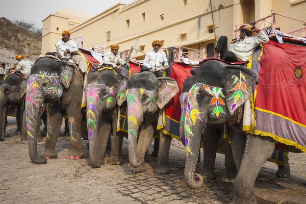Jaipur, Hindistan - 28 Ocak 2017: Kimliği belirsiz erkek binmek süslemeleri