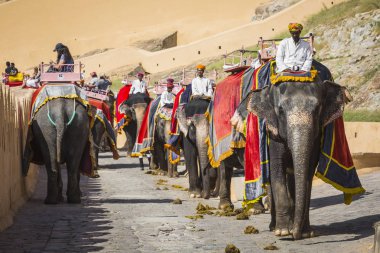 Jaipur, Hindistan - 18 Eylül 2017: Tanımlanamayan decora ata binip