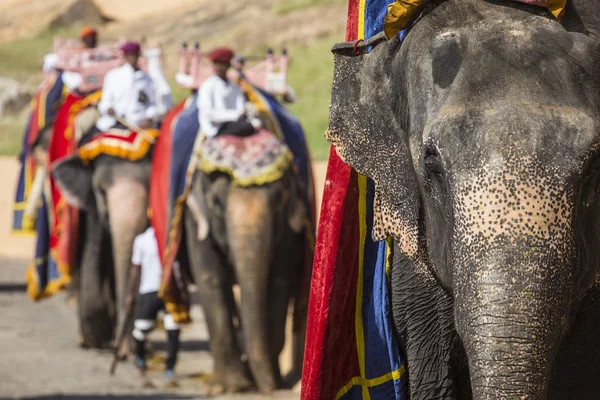 Elefantes decorados en Jaleb Chowk en Amber Fort en Jaipur, India —  Fotos de Stock