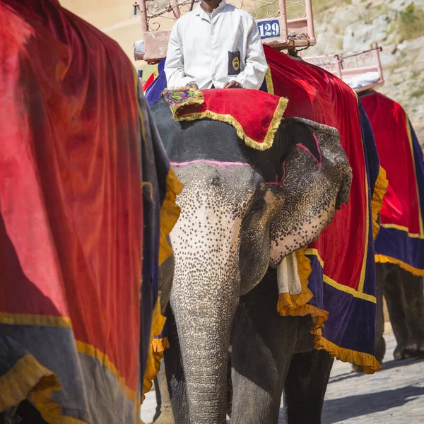 Jaleb チョウク インド、ジャイプールのアンベール城で象の装飾 — ストック写真