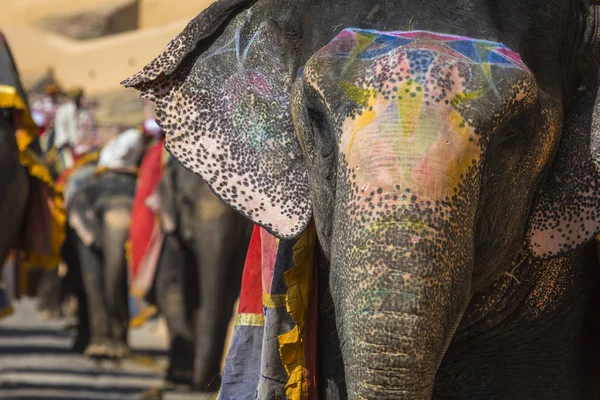 Decorated elephants in Jaleb Chowk in Amber Fort in Jaipur, India — Stock Photo, Image