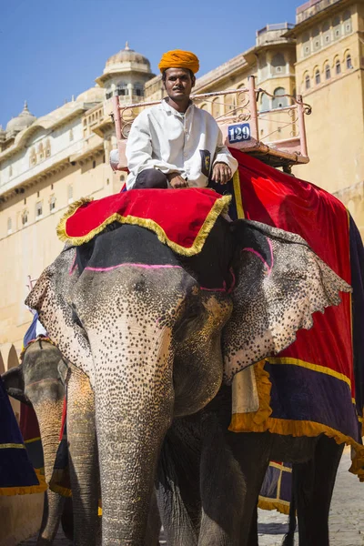 Elefantes decorados en Jaleb Chowk en Amber Fort en Jaipur, India —  Fotos de Stock