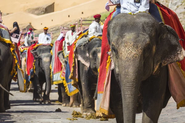 装饰大象在 Jaleb Chowk 在印度斋浦尔的琥珀堡 — 图库照片