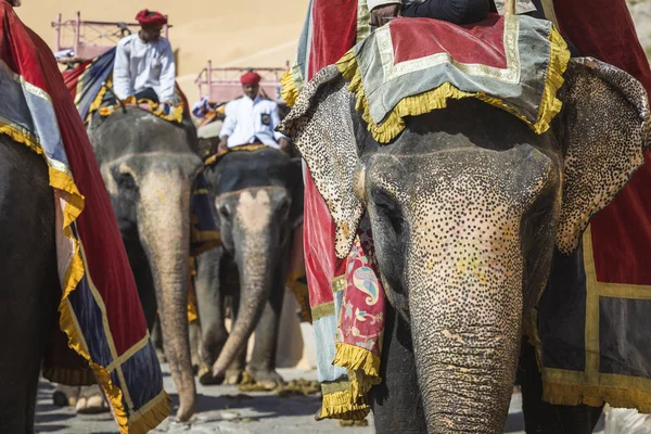 Inredda elefanter i Jaleb Chowk i Amber Fort i Jaipur, India — Stockfoto