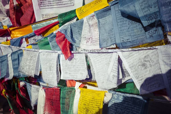 Dua Tibet bayrakları Namgyal Tsemo Monastery Leh, La civarındaki oteller