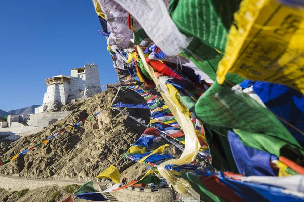 Bön tibetanska flaggor nära Namgyal Tsemo kloster i Leh, La — Stockfoto