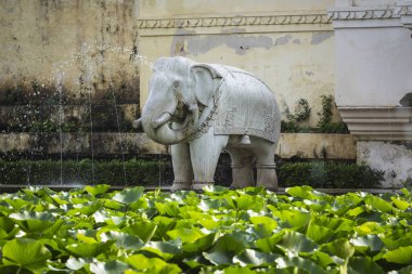 Saheliyon-ki-Bari (bakireler avlusu) olan büyük bir bahçe ben