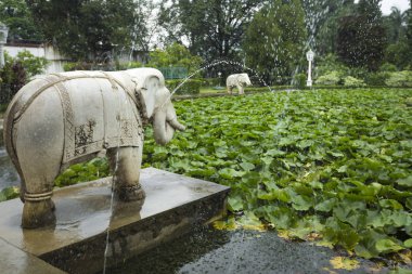 Saheliyon-ki-Bari (bakireler avlusu) olan büyük bir bahçe ben