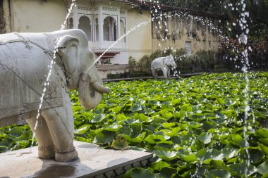 Saheliyon-ki-Bari (bakireler avlusu) olan büyük bir bahçe ben