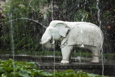 Saheliyon-ki-Bari (bakireler avlusu) olan büyük bir bahçe ben