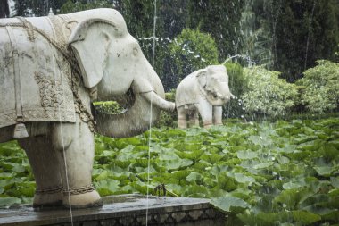 Saheliyon-ki-Bari (bakireler avlusu) olan büyük bir bahçe ben
