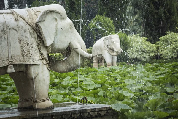 Saheliyon-ki-Bari (bakireler avlusu) olan büyük bir bahçe ben