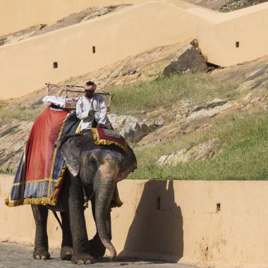 Jaipur, Hindistan - 18 Eylül 2017: Tanımlanamayan decora ata binip