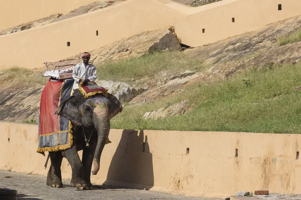 Jaipur, Hindistan - 18 Eylül 2017: Tanımlanamayan decora ata binip