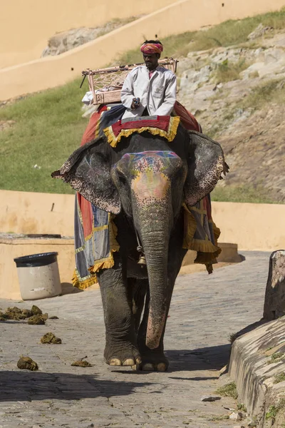 Jaipur, Hindistan - 18 Eylül 2017: Tanımlanamayan decora ata binip