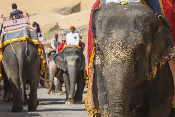 Jaipur, Indi Amber Fort Jaleb Chowk filler dekore edilmiş