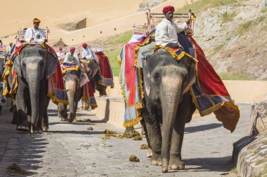 Jaipur, Hindistan - 18 Eylül 2017: Tanımlanamayan decora ata binip