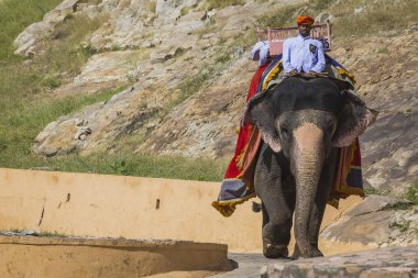 Jaipur, Hindistan - 18 Eylül 2017: Tanımlanamayan decora ata binip