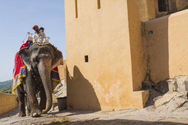 Jaipur, Hindistan - 18 Eylül 2017: Tanımlanamayan decora ata binip