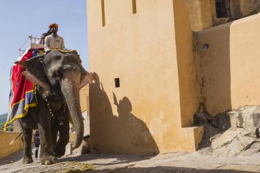 Jaipur, Hindistan - 18 Eylül 2017: Tanımlanamayan decora ata binip