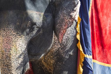 Jaipur, Indi Amber Fort Jaleb Chowk filler dekore edilmiş