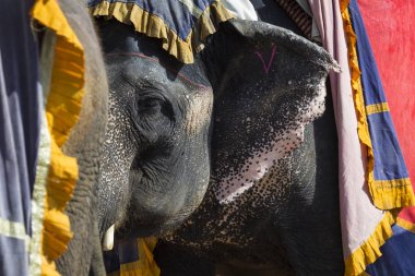 Jaipur, Indi Amber Fort Jaleb Chowk filler dekore edilmiş