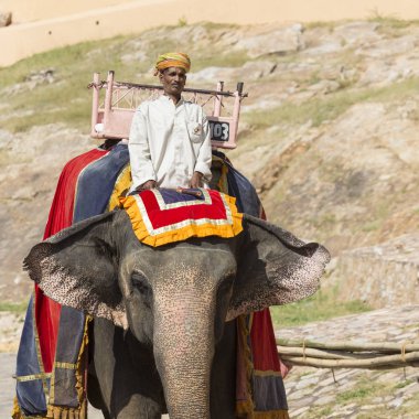 Jaipur, Hindistan - 18 Eylül 2017: Tanımlanamayan decora ata binip