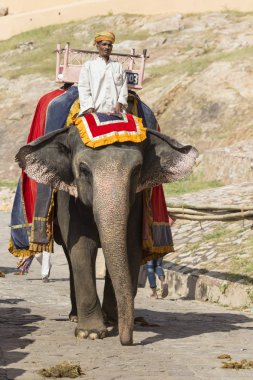 Jaipur, Hindistan - 18 Eylül 2017: Tanımlanamayan decora ata binip