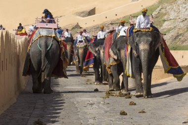 Jaipur, Hindistan - 18 Eylül 2017: Tanımlanamayan decora ata binip