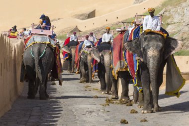 Jaipur, Hindistan - 18 Eylül 2017: Tanımlanamayan decora ata binip