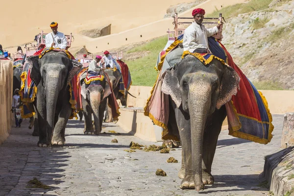 Jaipur, Hindistan - 18 Eylül 2017: Tanımlanamayan decora ata binip